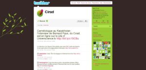 capture d'écran du compte Twitter du Cirad